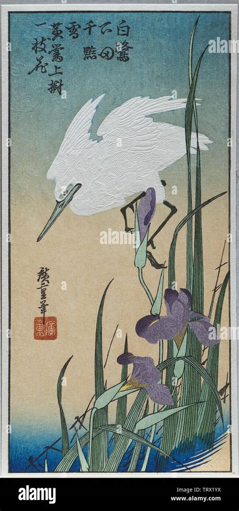 iris ukiyoé